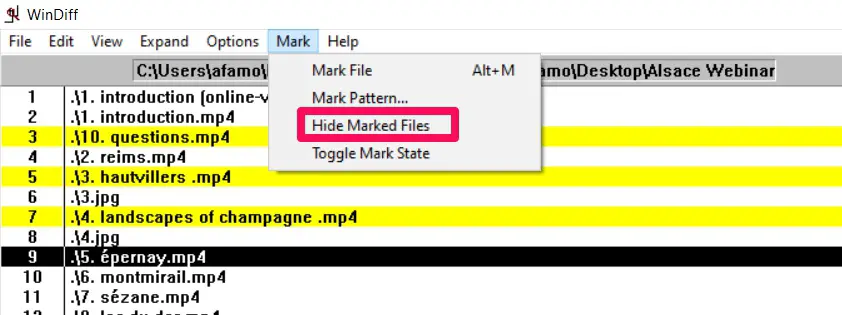 Step-By-Step Guide To Use WinDiff To Compare Files