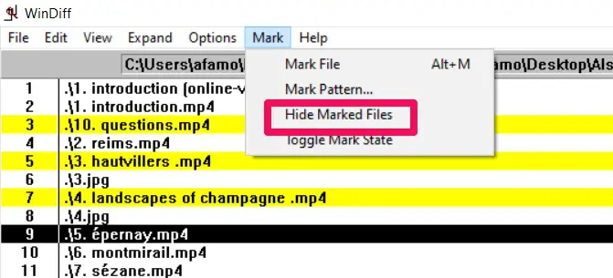 Step-By-Step Guide To Use WinDiff To Compare Files