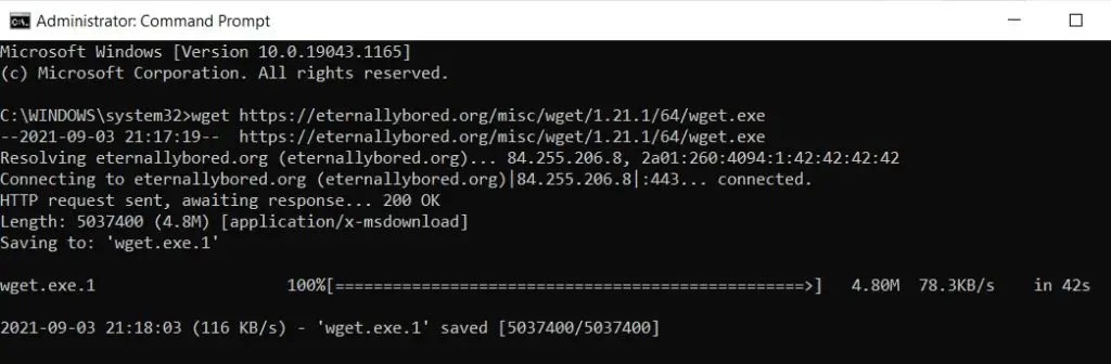 How To Download Files With Python Wget on Windows