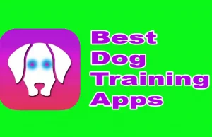 Best Dog Training Apps 11