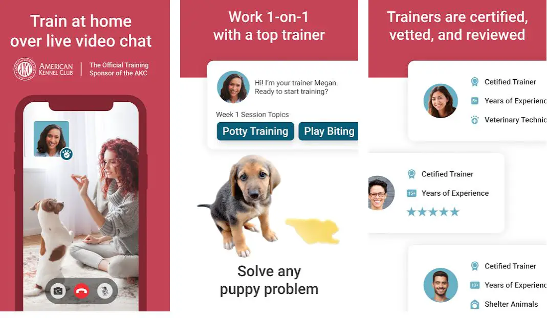 15 Best Dog Training Apps To Train Your Dog At Home