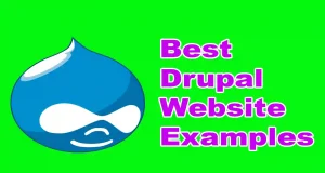 Best Drupal Website Examples