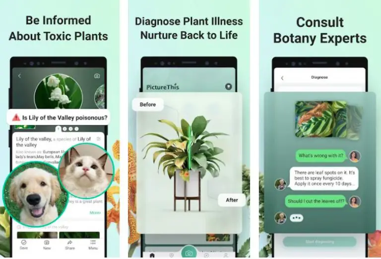 15 Best Plant Care Apps To Keep Your Plants Alive