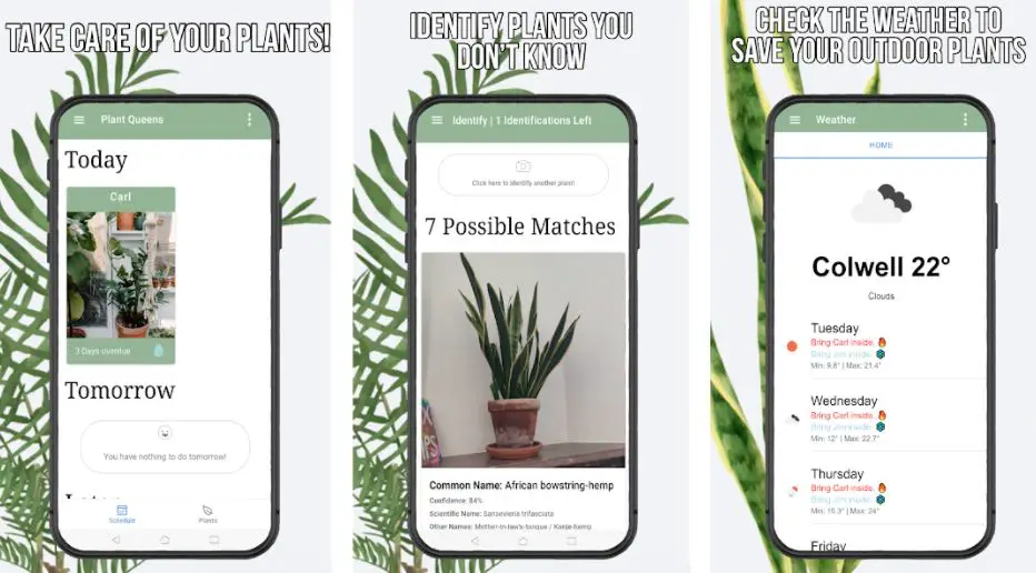 15 Best Plant Care Apps To Keep Your Plants Alive