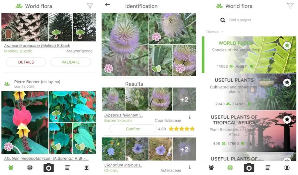 15 Best Plant Care Apps To Keep Your Plants Alive