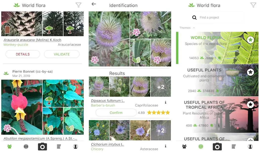 Best Plant Care Apps 4