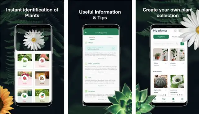 Best Plant Care Apps 640x368 