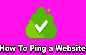 How To Ping a Website