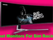 Best-Monitors-For-Sim-Racing 7