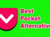 Best Pocket Alternatives