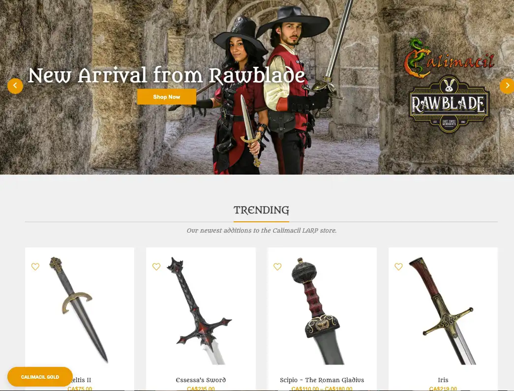 7 LARP Costumes Online Stores To Create Your Unique Character