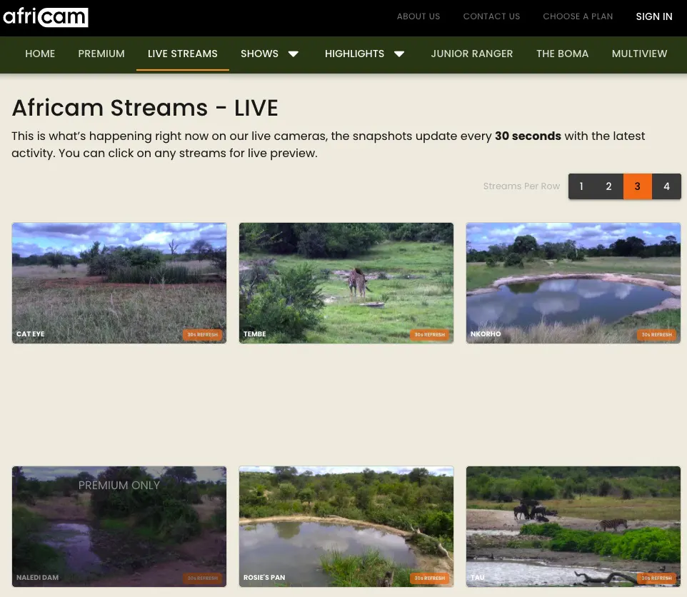 Watch Nature Live Streams 2