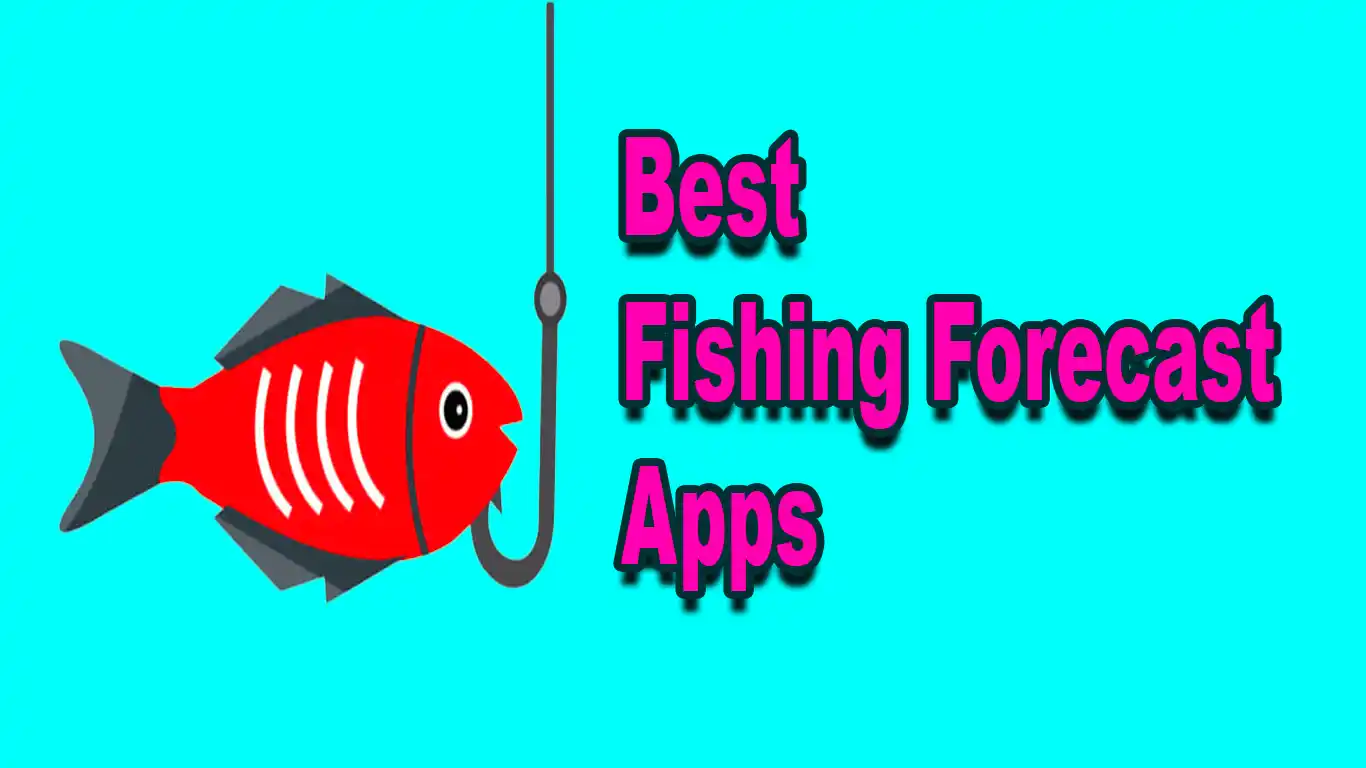 9 Best Fishing Forecast Apps For Your Next Fishing Trip 2023