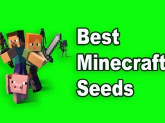 Best Minecraft Seeds 15