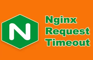 Nginx Request Timeout