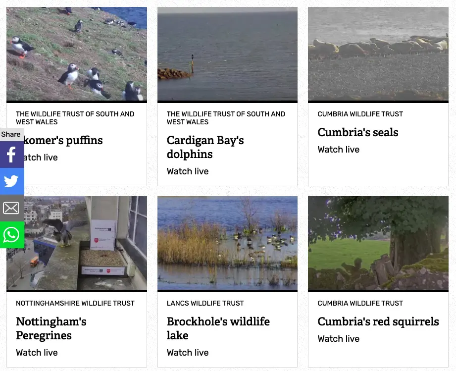 9 Top Platforms To Watch Nature Live Streams