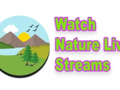 Watch Nature Live Streams 8