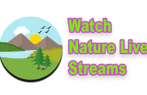 Watch Nature Live Streams 8