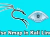 Use Nmap in Kali Linux