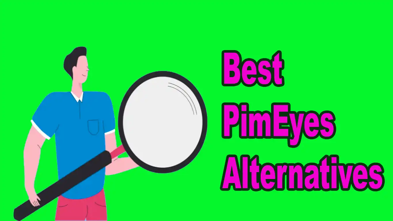 9 Best PimEyes Alternatives For Reverse Image Lookup [2025]