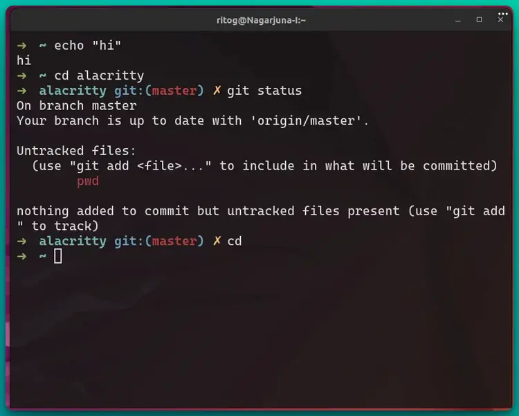 The Speed Demon in the Best Terminal Emulators