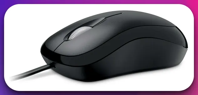 Type of mouse in computer 1