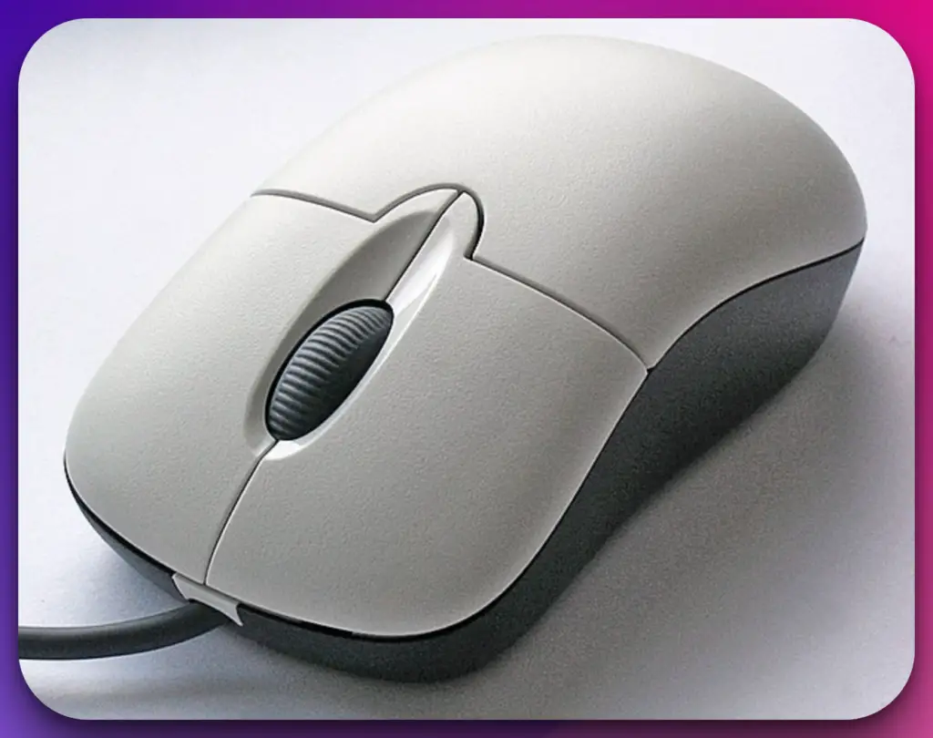 Type of mouse in computer