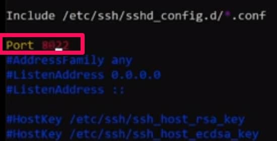 How To Do SSH Into Docker Container [Step-By-Step Guide]