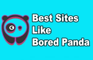 Best Sites Like Bored Panda 5