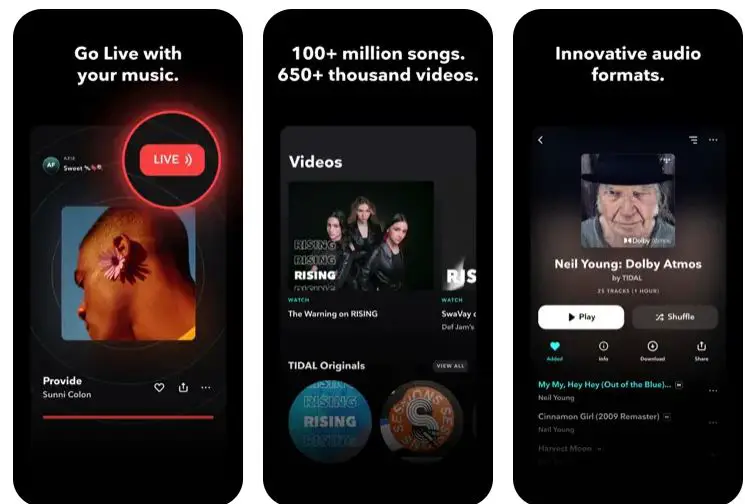 Best Spotify Alternatives