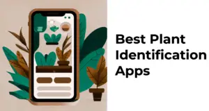 Best plant identification apps featured (1)