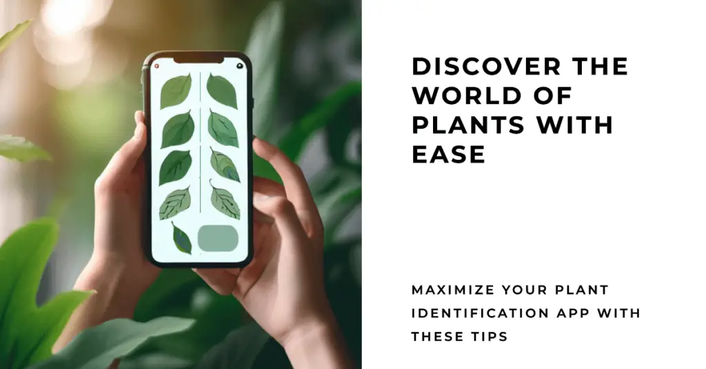 How to Get the Most Out of Your Plant Identification App (1)