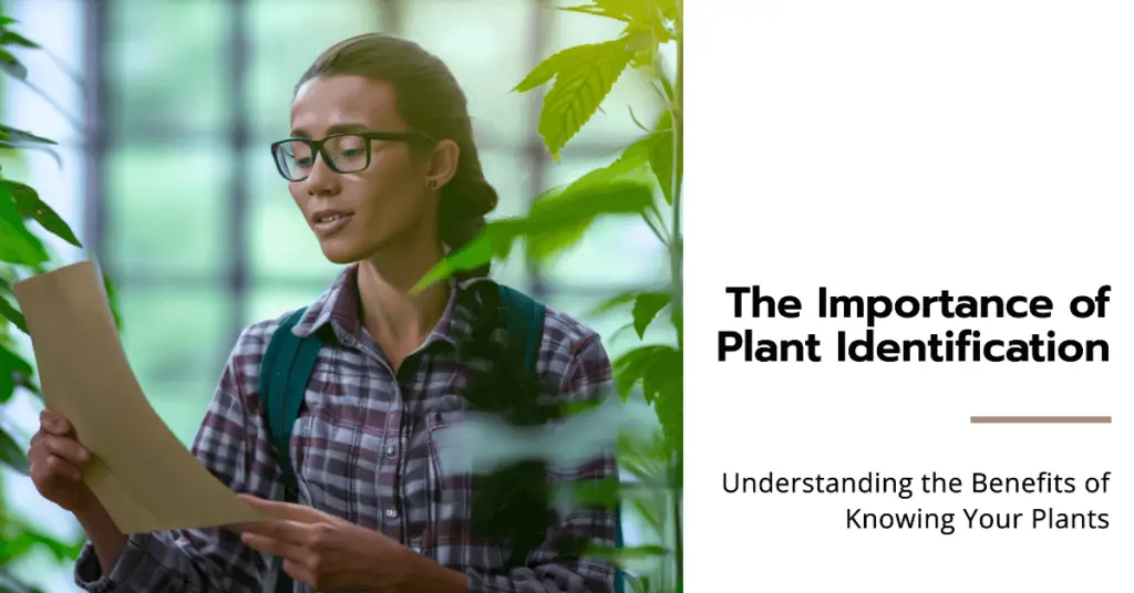 Importance of Plant Identification (1)