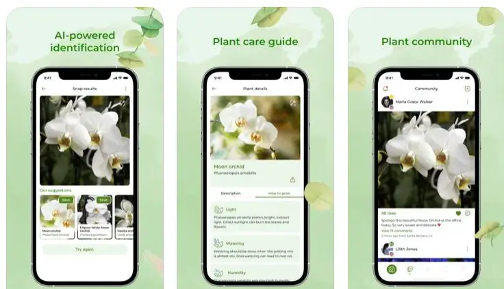 Top Plant Identification Apps 1