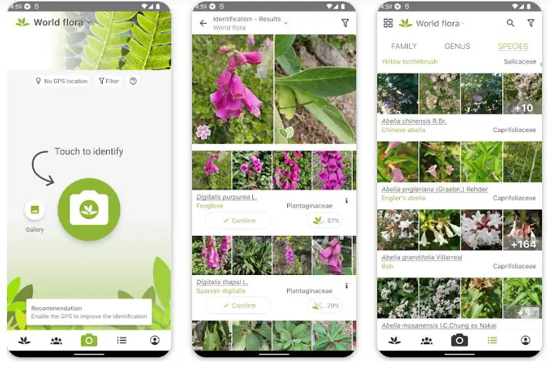 Top Plant Identification Apps 2