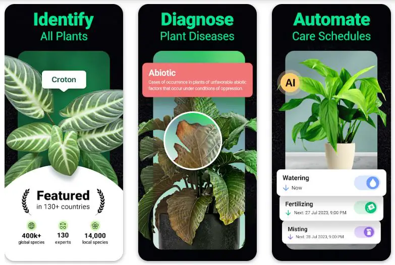 Top Plant Identification Apps 5
