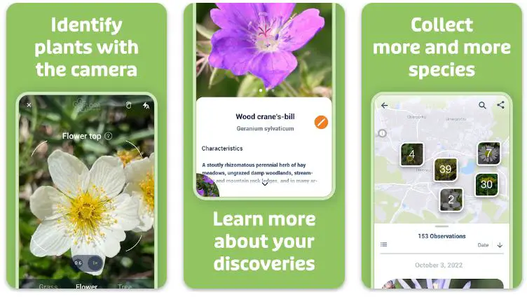 9 Best Plant Identification Apps - From Novice to Pro