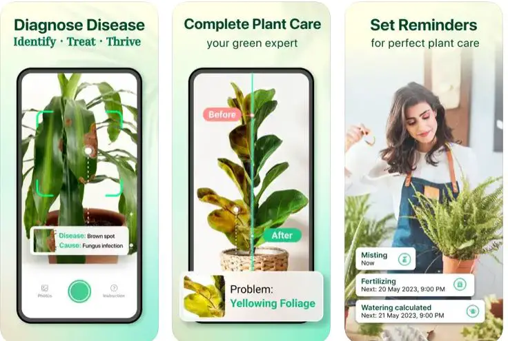Top Plant Identification Apps 7