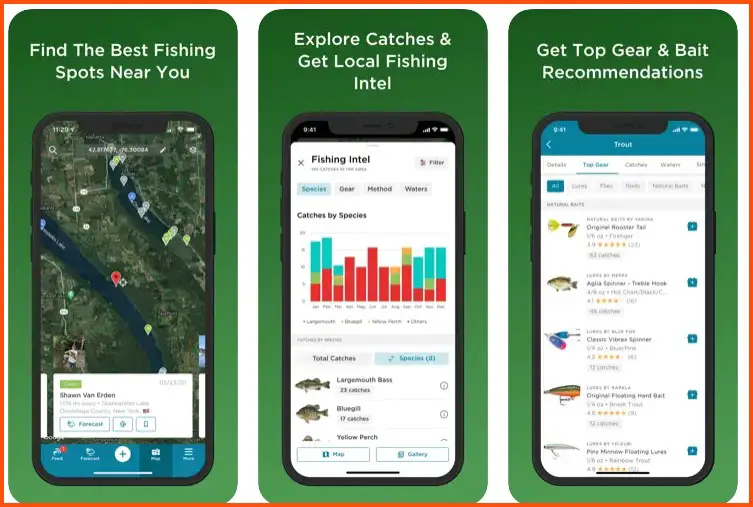 Top Fishing Forecast Apps