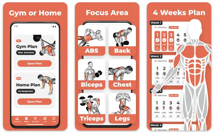 7 Best Push up Apps To Get Fit Anywhere, Anytime