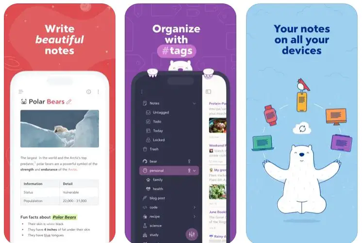 Evernote Vs Bear: Which Note-Taking App Is Ideal for You?
