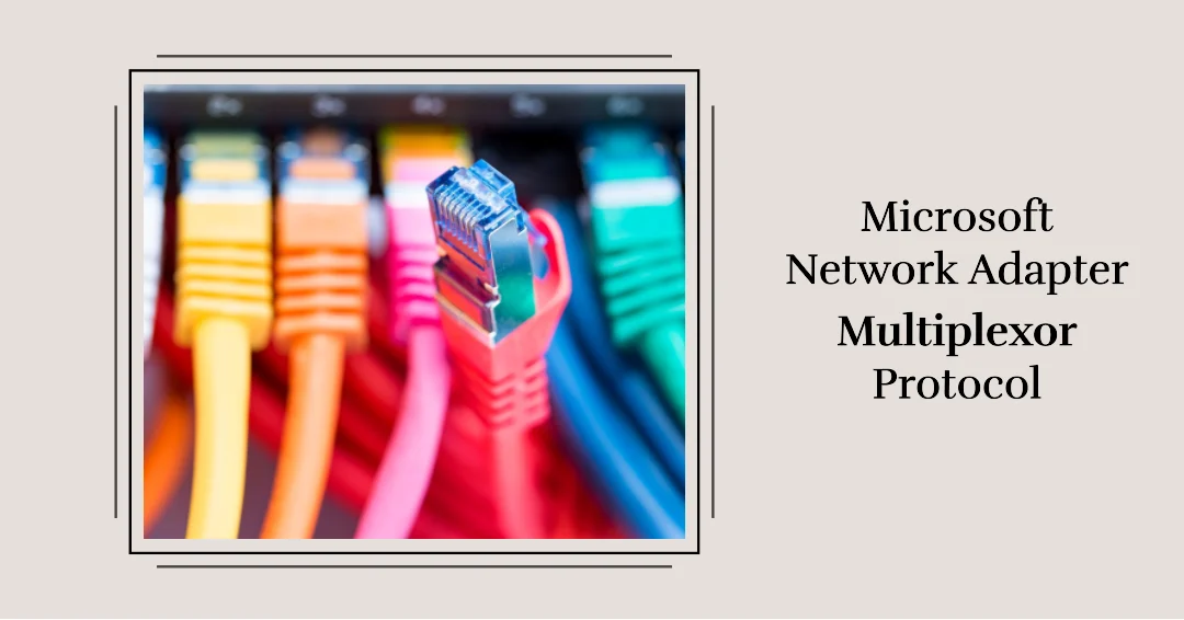 What is Microsoft Network Adapter Multiplexor Protocol? 🧐