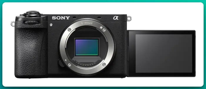 Best Affordable Cameras For Wildlife Photography 1