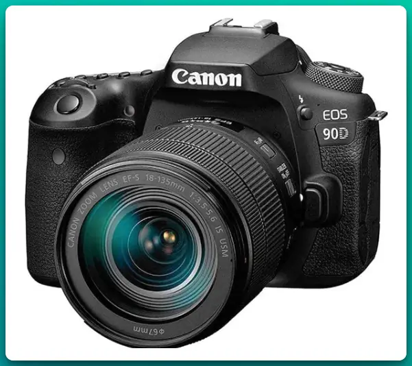 Best Affordable Cameras For Wildlife Photography 5