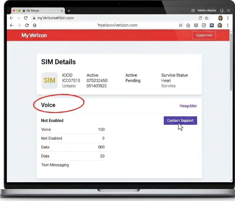 Carrier portal screenshot showing SIM status for fixing SIM Not Provisioned For Voice error.