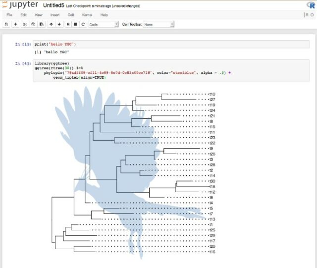 7 Top IDE For R Programming - From Novice To Pro [ 2025]