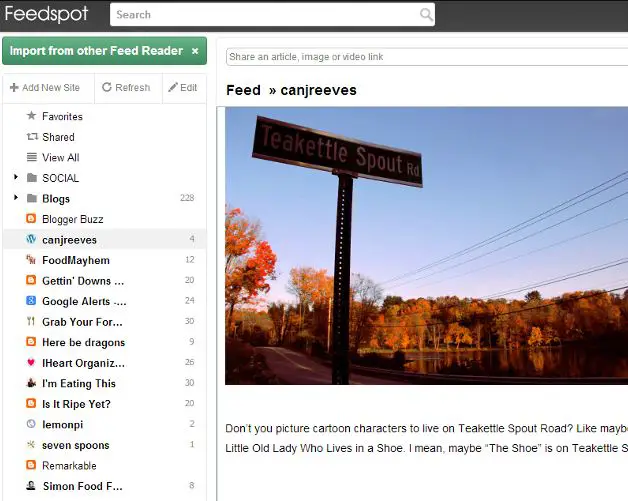 Top Feedly Alternatives 3