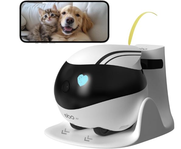 best personal robots for budget-conscious innovation