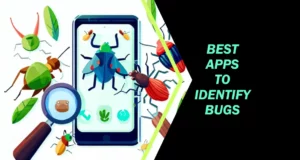 Best App To Identify Bugs