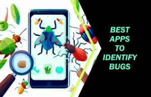 Best App To Identify Bugs